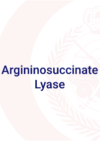Argininosuccinate Lyase
