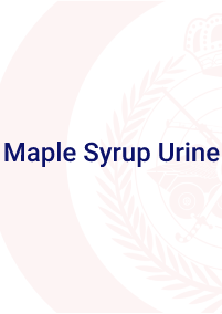 Maple-Syrup-Urine